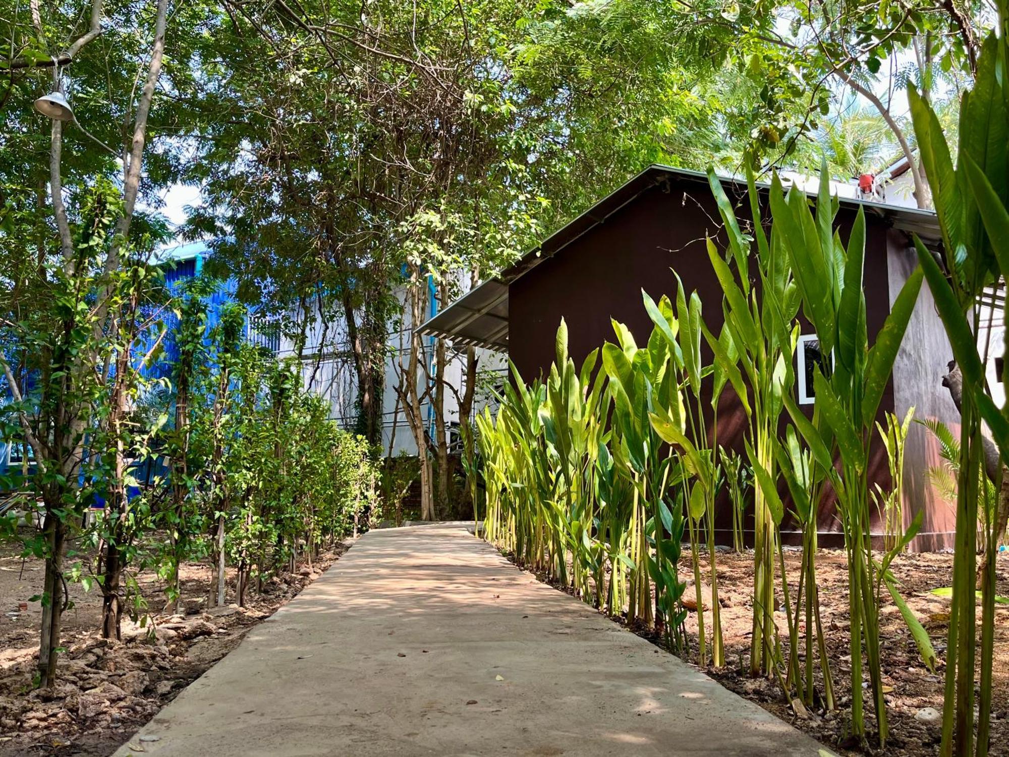 Banyan Tree Hostel Kampot Exterior foto