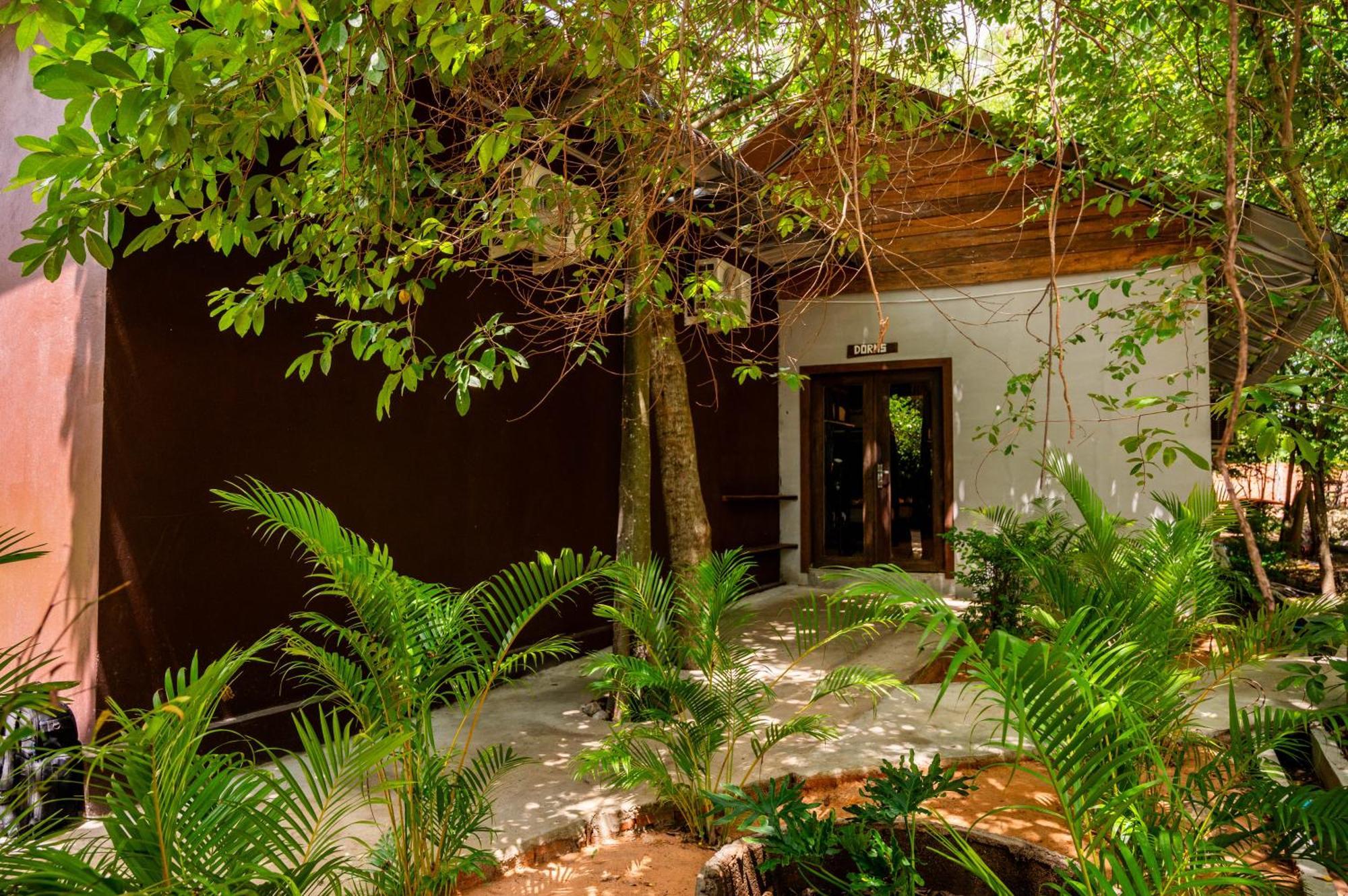 Banyan Tree Hostel Kampot Exterior foto