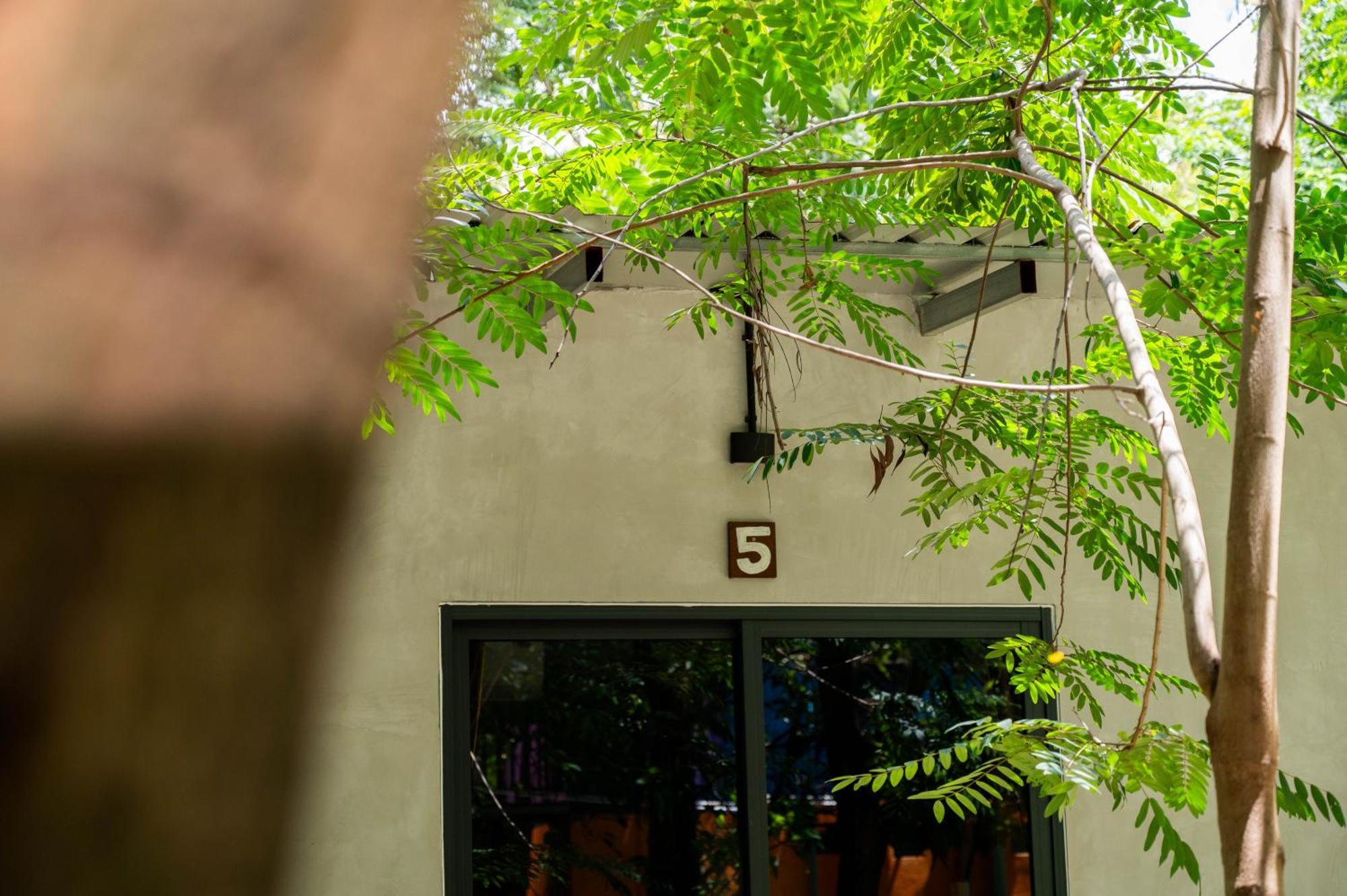 Banyan Tree Hostel Kampot Exterior foto